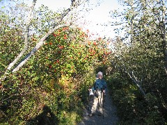 Ruth Bennett McDougal Dorrough; Ship Harbor Nature Trail; Acadia