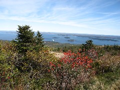 Acadia