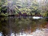 Trips New England Hampshire (at Kat s cabin)