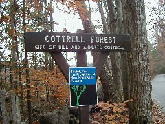 Trips New England Hampshire Cottrell Forest