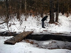 Ruth Dorrough; New Hampshire 2005-01;