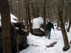 Ruth Dorrough; New Hampshire 2005-01;