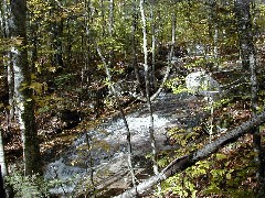 Hiking White Mountains New Hampshire Basin Cascades Trail