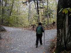 Ruth Dorrough; The Flume Franconia Notch Hiking White Mountains New Hampshire