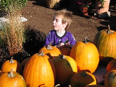 Jacob Wheeler; pumpkins