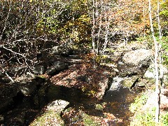 Gleason falls stream