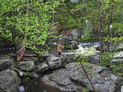unknown fisherman near stone bridge on Beard Road