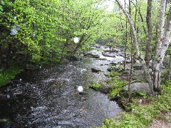 Beard creek near stone bridge on Beard road