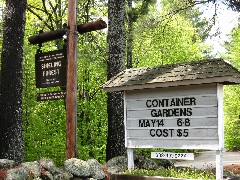 Shieling Forest; Peterborough NH