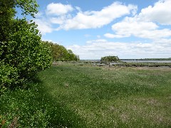 Lubberland Creek Preserve; Newmarket, NH