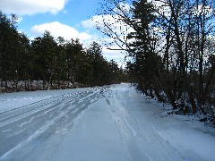 Hanson Pines Park; Rochester NH