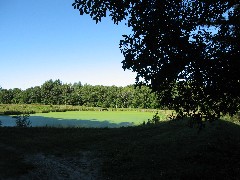 Pond; Mount Sunapee State Park NH