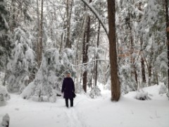 Ruth Dorrough; Bradford Tall Pines State Forest; snow; Bradford NH