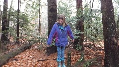 Ellery Kate Wheeler; Bradford Tall Pines; Bradford, NH