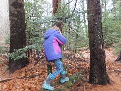 Ellery Kate Wheeler; Bradford Tall Pines; Bradford, NH