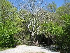 Charleston Falls Preserve