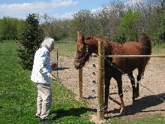 Judy Dorrough; feeding the horse carrots