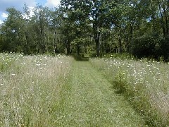 Ohio