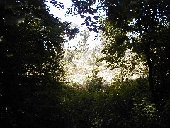 Trail from Union Road to Medway