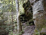 Trips Ohio