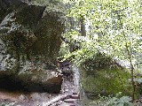 Trips Ohio