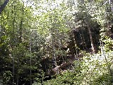 Trips Ohio