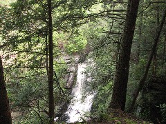 Bushkill Falls Milford PA Trips