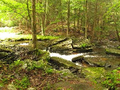 Dwarfskill stream behind Ben s cabin