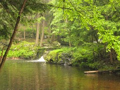 Dwarfskill stream behind Ben s cabin
