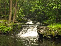 Dwarfskill stream behind Ben s cabin