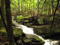 Dwarfskill stream behind Ben s cabin