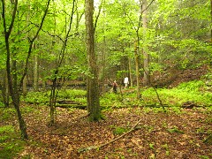 Ruth Dorrough; Ben Dorrough; Dwarfskill stream behind Ben s cabin