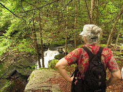 Ruth Dorrough; Dwarfskill stream behind Ben s cabin