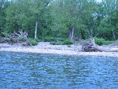 Delaware River Milford PA