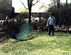 Andy McDougal; Philadelphia