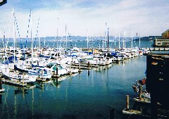 San Francisco; Fisherman s Wharf; boats