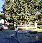 Berkeley University