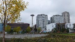 Space Needle from Olympic Sculpture Park Seattle WA