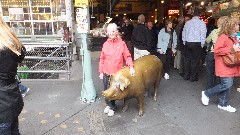 Trips; Seattle; Seattle