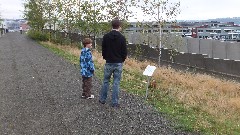 Jacob Wheeler; Ben Dorrough; Olympic Sculpture Park Seattle WA