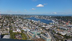 from Seattle Space Needle