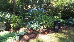 Dunn Gardens; 13533 Northshire Rd; Seattle, WA