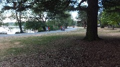 Green LAke Trail; Seattle, WA