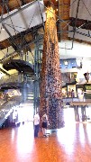 Museum of History & Industry; Seattle, WA