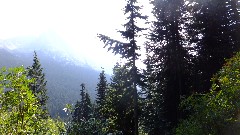 Maple Heather Trail; Cascades, WA