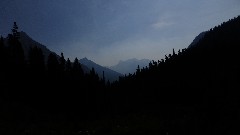Maple Heather Trail; Cascades, WA