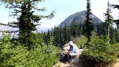 Ruth Bennett McDougal Dorrough; Maple Heather Trail; Cascades, WA