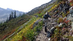 Ruth Bennett McDougal Dorrough; Maple Heather Trail; Cascades, WA