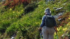 Ruth Bennett McDougal Dorrough; Maple Heather Trail; Cascades, WA