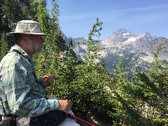 Dan Dorrough; Maple Heather Trail; Cascades, WA